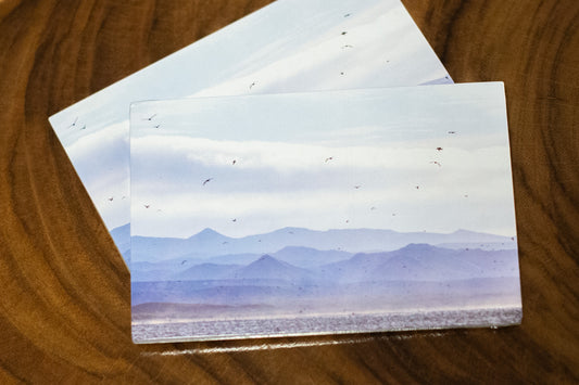 Photo Post Cards, Pack of 10