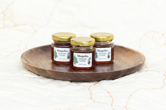 Conifer Mugolio Syrup